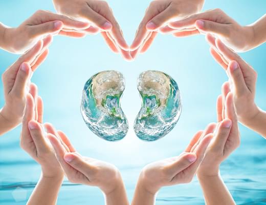 透析と長く付き合うために必要な「酵素」とは